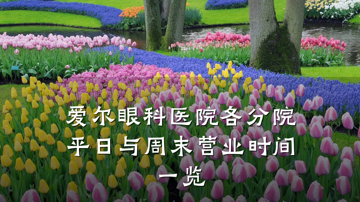 爱尔眼科医院各分院平日与周末营业时间一览