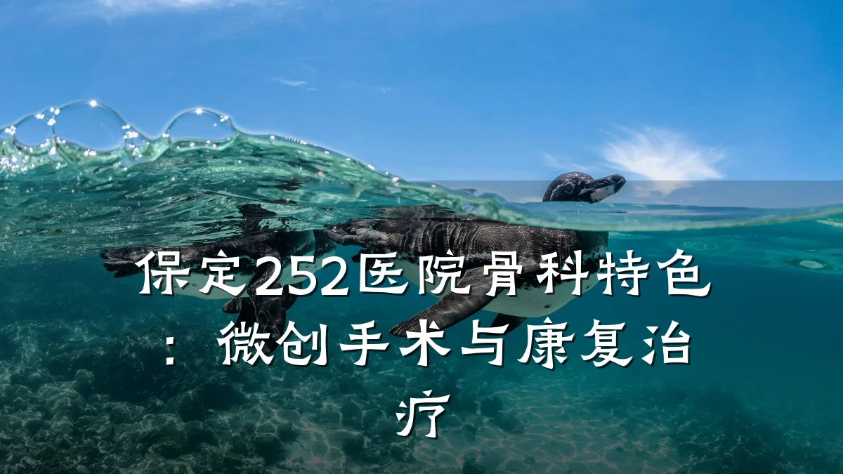 保定252医院骨科特色：微创手术与康复治疗