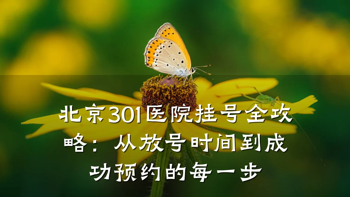 北京301医院挂号全攻略：从放号时间到成功预约的每一步