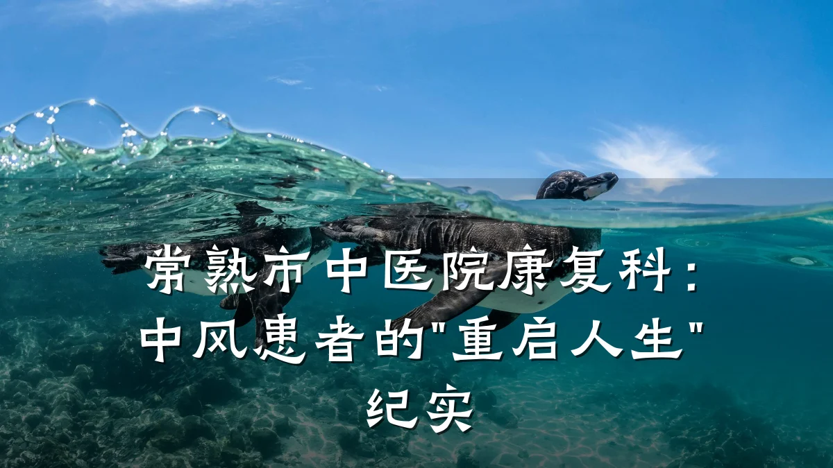 常熟市中医院康复科：中风患者的"重启人生"纪实