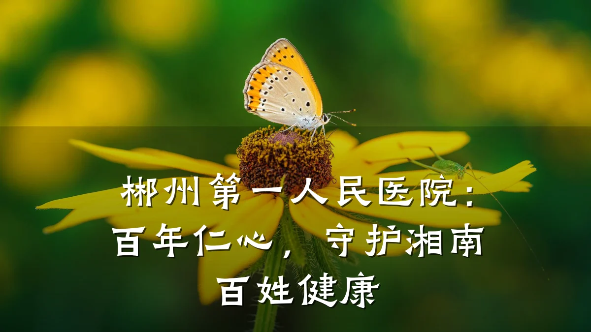 郴州第一人民医院：百年仁心，守护湘南百姓健康