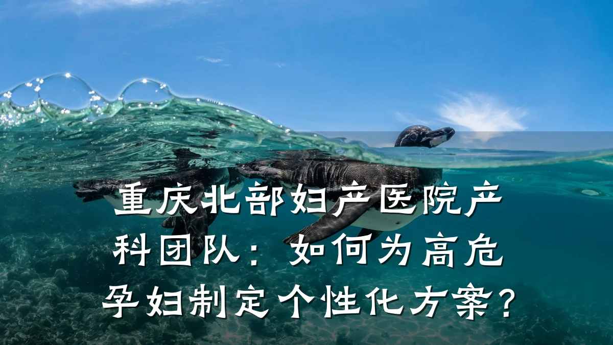 重庆北部妇产医院产科团队：如何为高危孕妇制定个性化方案？