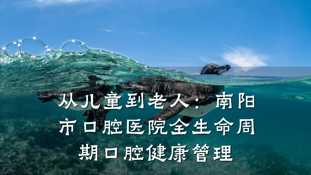 从儿童到老人：南阳市口腔医院全生命周期口腔健康管理