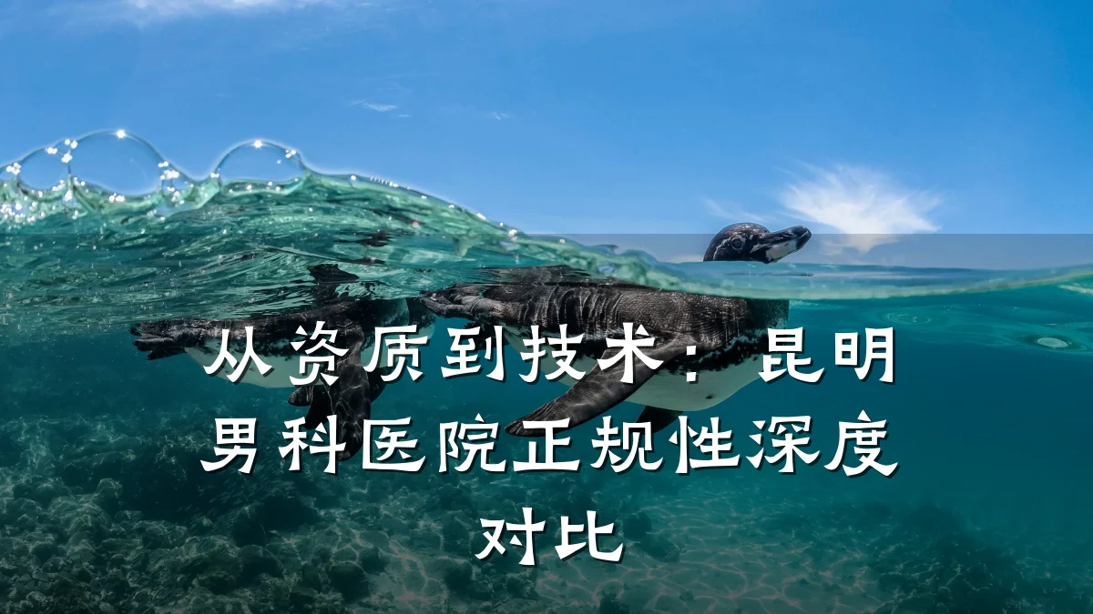 从资质到技术：昆明男科医院正规性深度对比