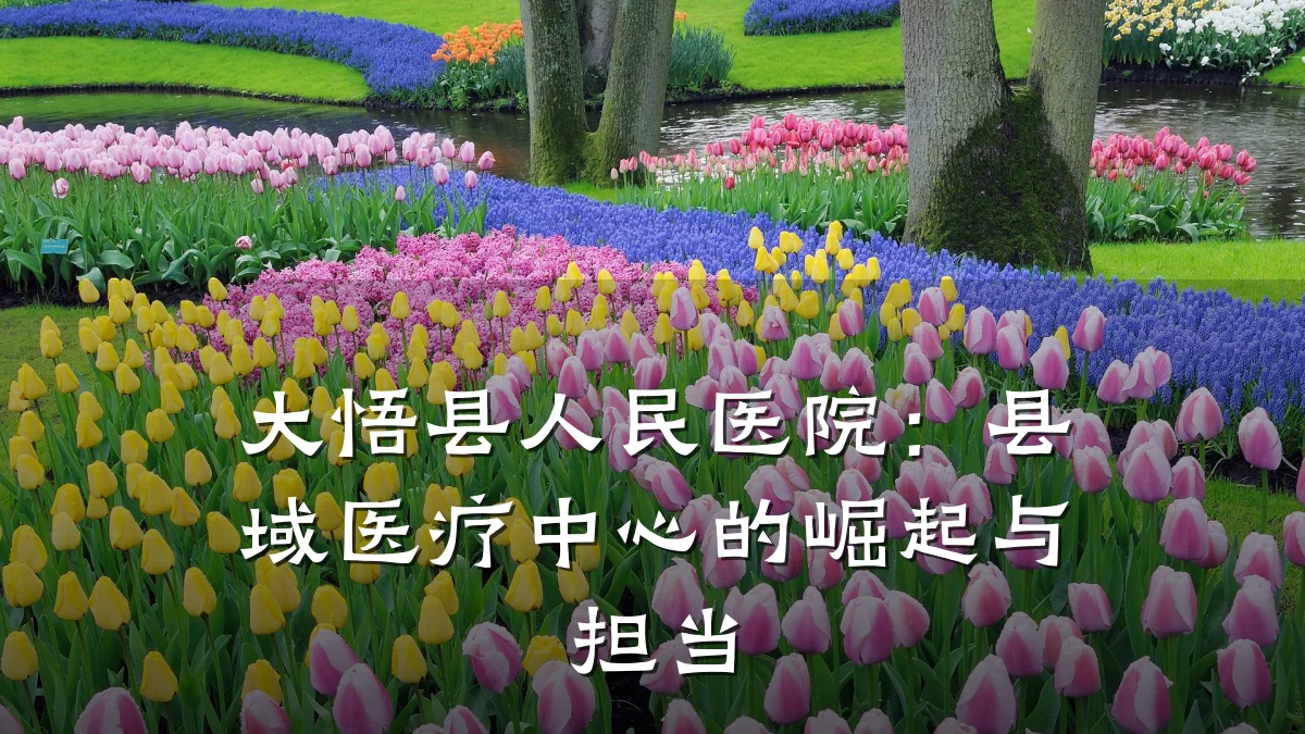 大悟县人民医院：县域医疗中心的崛起与担当
