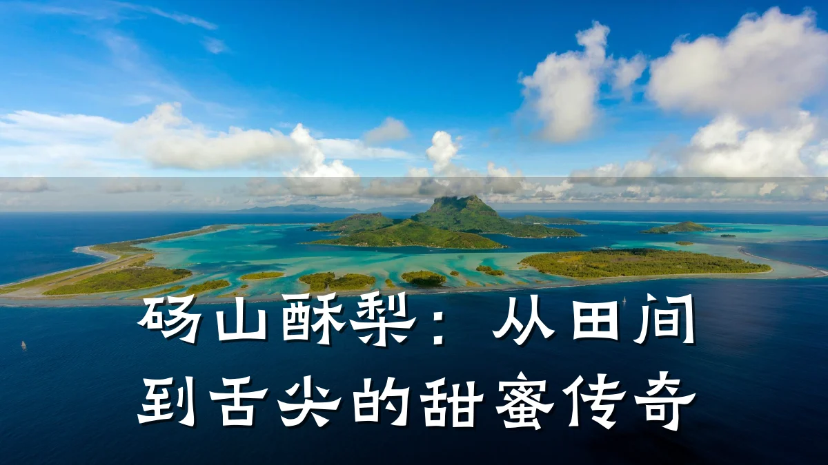 砀山酥梨：从田间到舌尖的甜蜜传奇