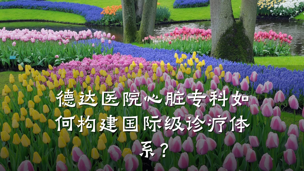 德达医院心脏专科如何构建国际级诊疗体系？