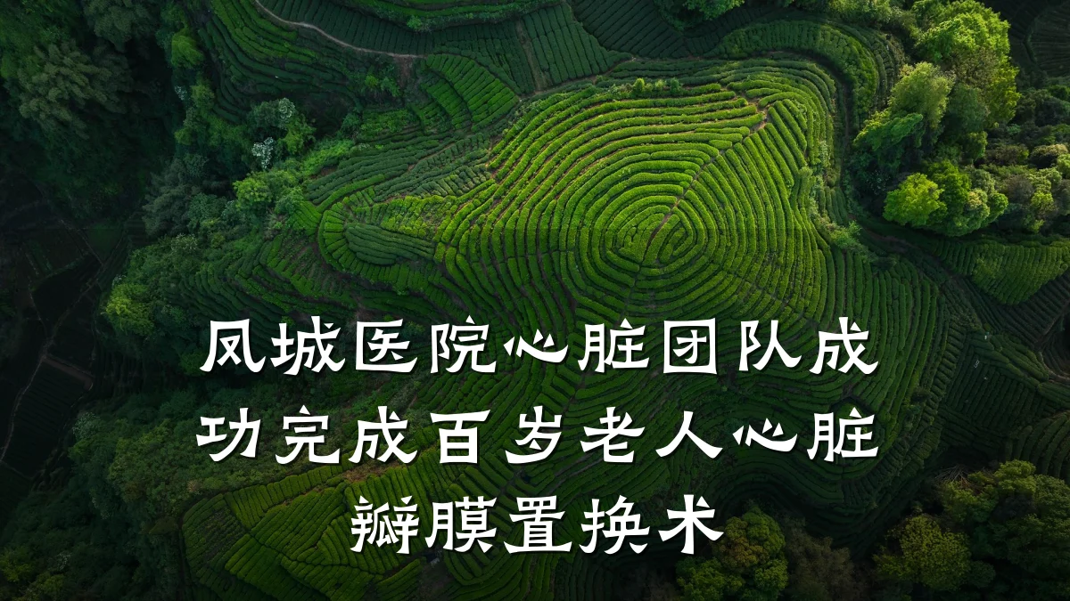 凤城医院心脏团队成功完成百岁老人心脏瓣膜置换术