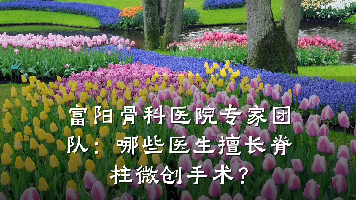 富阳骨科医院专家团队：哪些医生擅长脊柱微创手术？