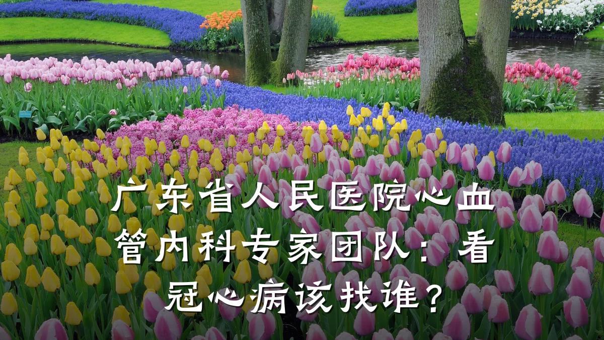 广东省人民医院心血管内科专家团队：看冠心病该找谁？