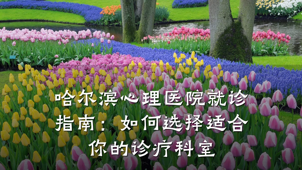 哈尔滨心理医院就诊指南：如何选择适合你的诊疗科室