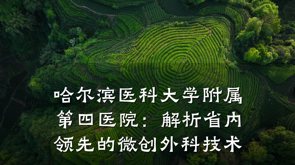 哈尔滨医科大学附属第四医院:解析省内领先的微创外科技术