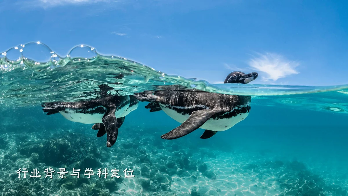 行业背景与学科定位