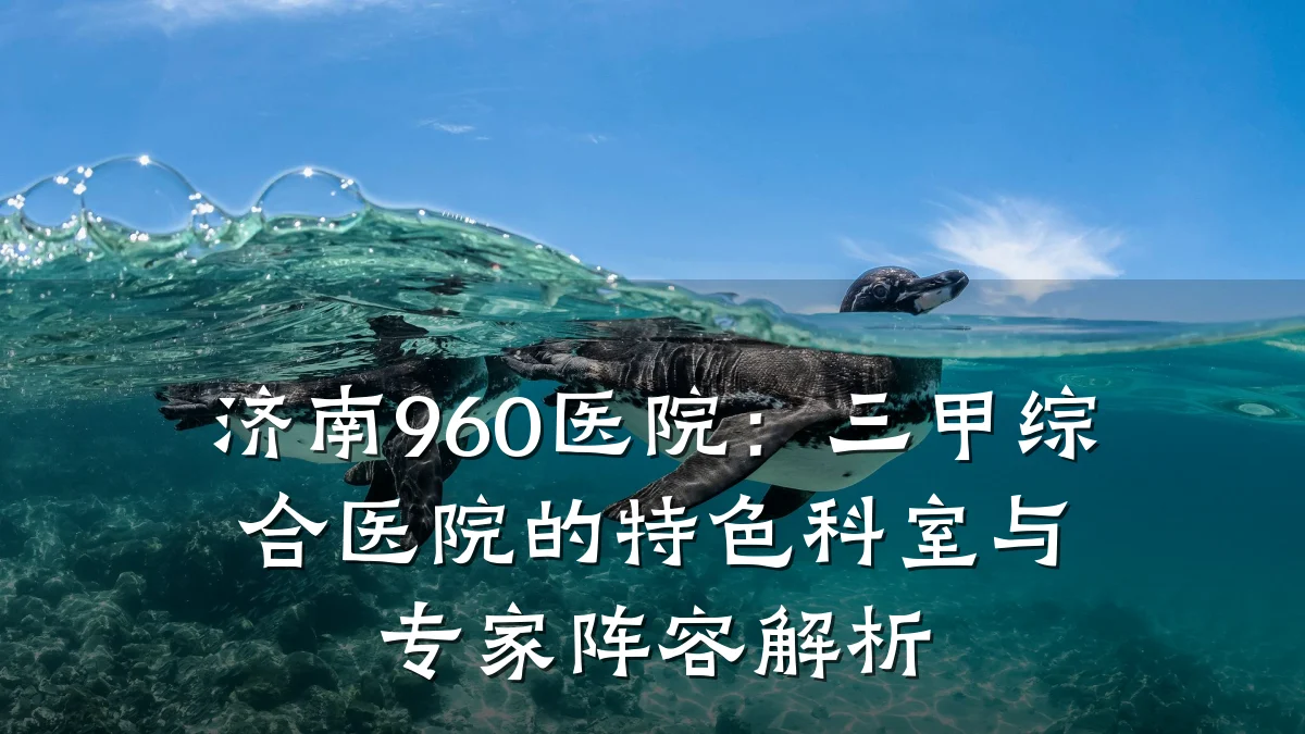 济南960医院：三甲综合医院的特色科室与专家阵容解析