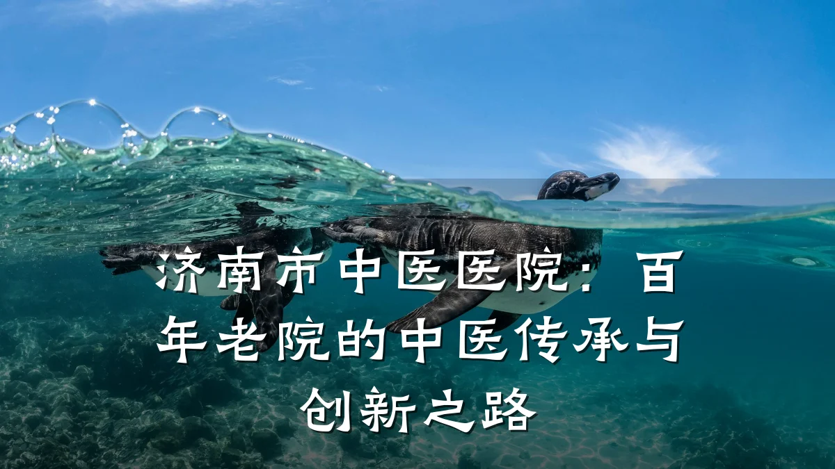 济南市中医医院：百年老院的中医传承与创新之路