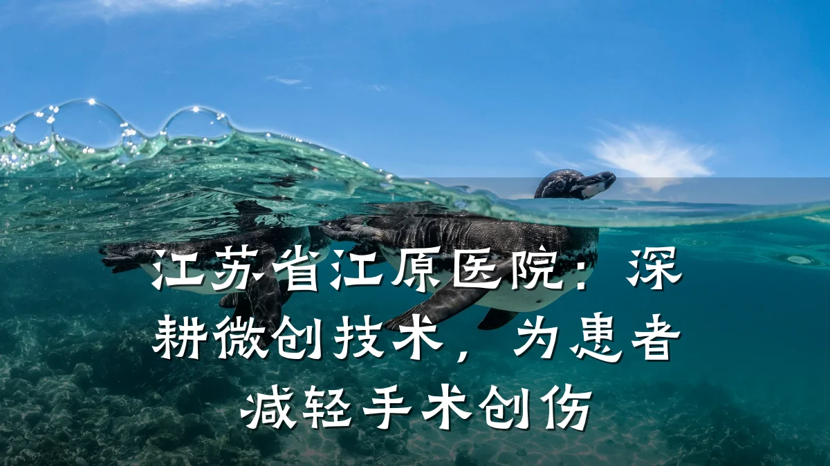 江苏省江原医院：深耕微创技术，为患者减轻手术创伤