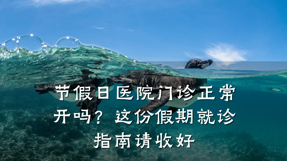 节假日医院门诊正常开吗？这份假期就诊指南请收好