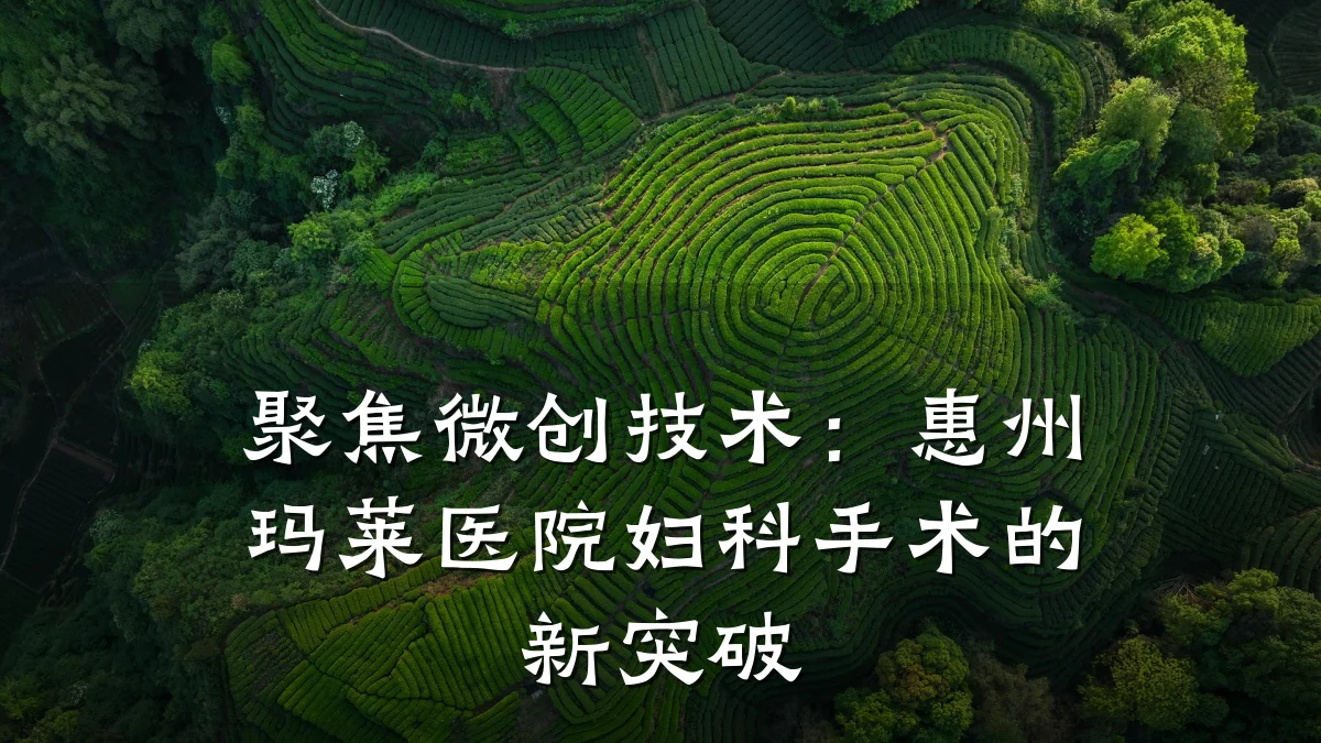 聚焦微创技术：惠州玛莱医院妇科手术的新突破