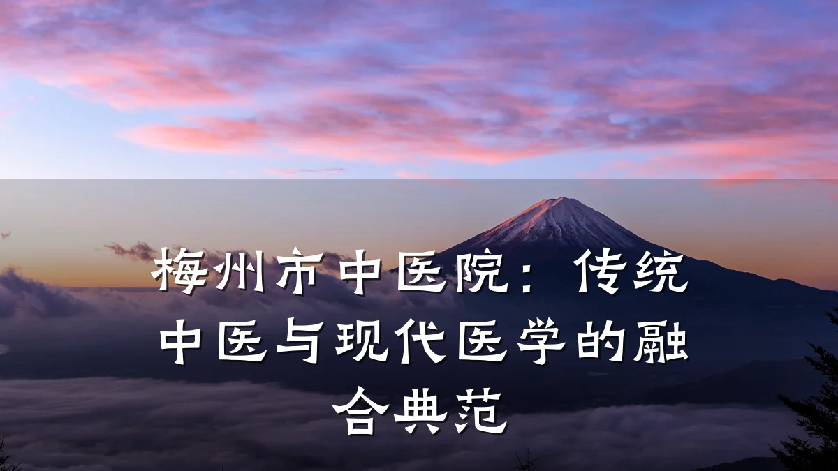梅州市中医院：传统中医与现代医学的融合典范