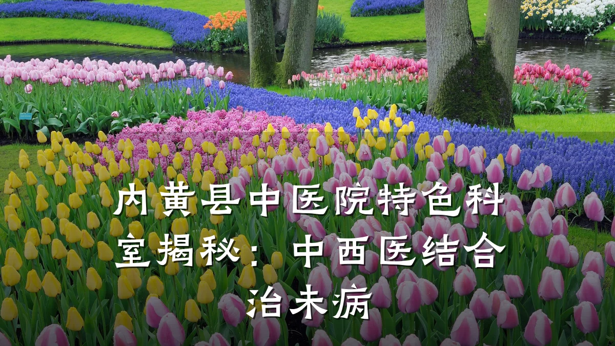 内黄县中医院特色科室揭秘：中西医结合治未病