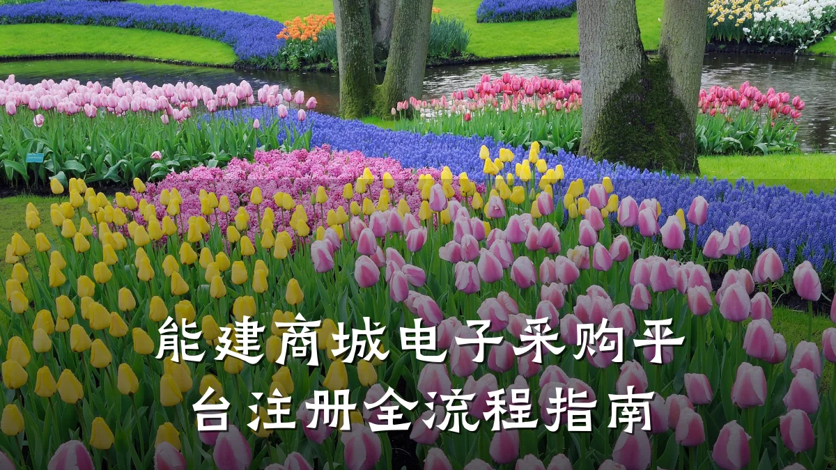 能建商城电子采购平台注册全流程指南