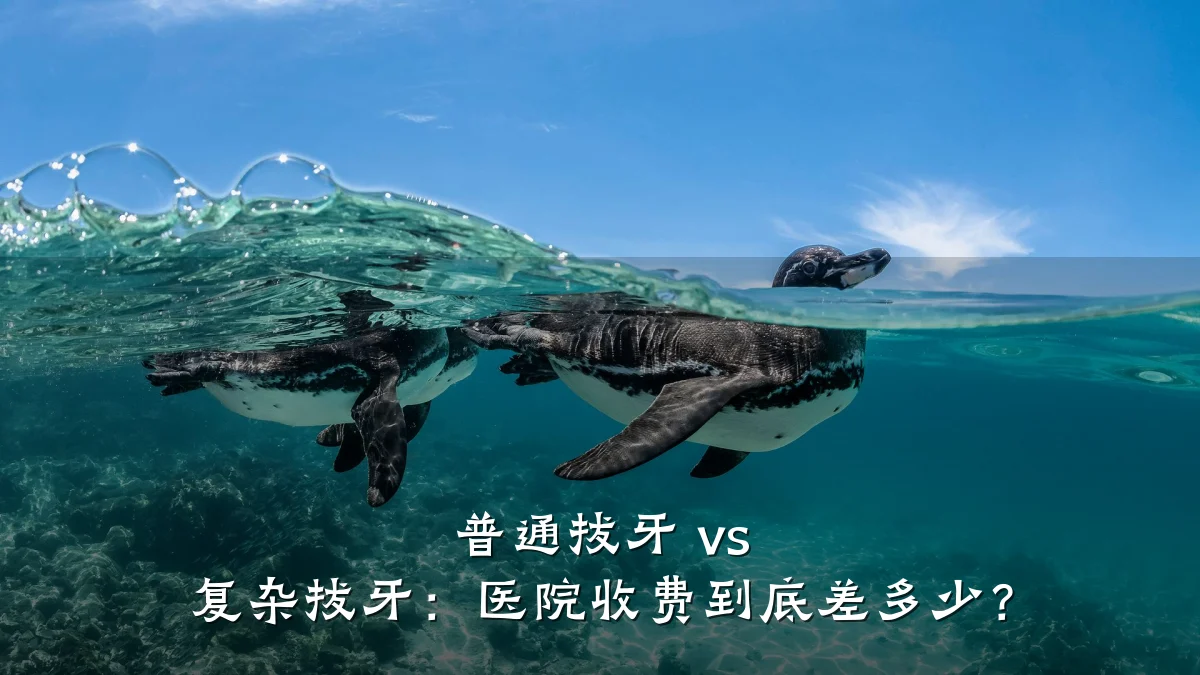 普通拔牙 vs 复杂拔牙：医院收费到底差多少？