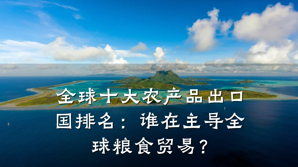 全球十大农产品出口国排名：谁在主导全球粮食贸易？