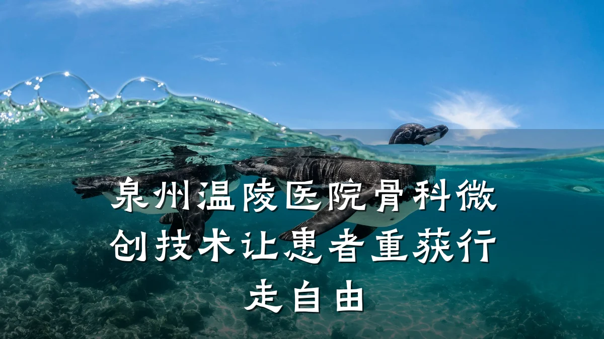 泉州温陵医院骨科微创技术让患者重获行走自由