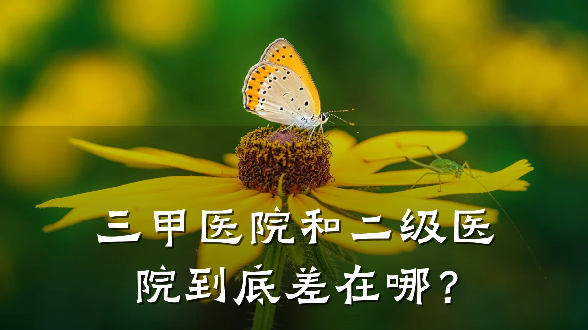 三甲医院和二级医院到底差在哪?