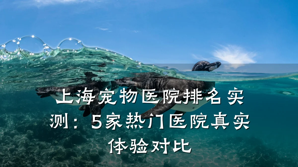 上海宠物医院排名实测：5家热门医院真实体验对比