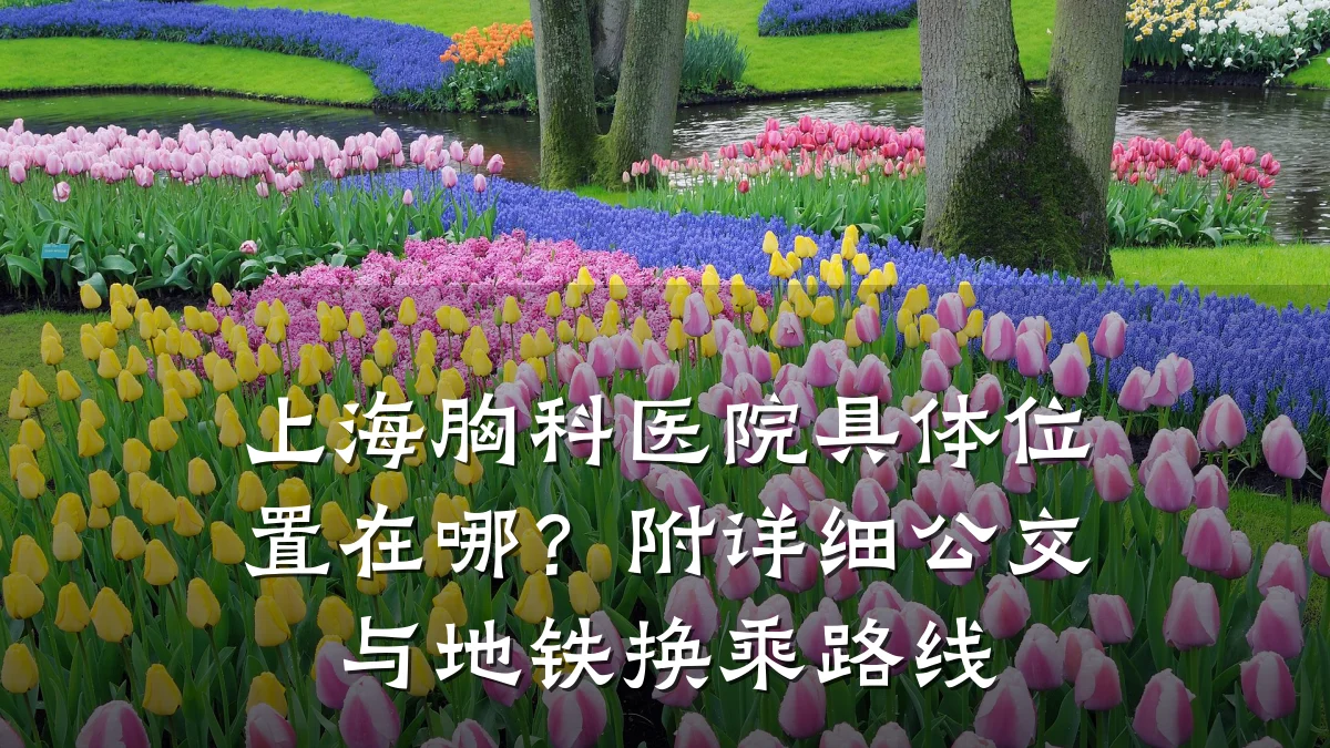 上海胸科医院具体位置在哪？附详细公交与地铁换乘路线