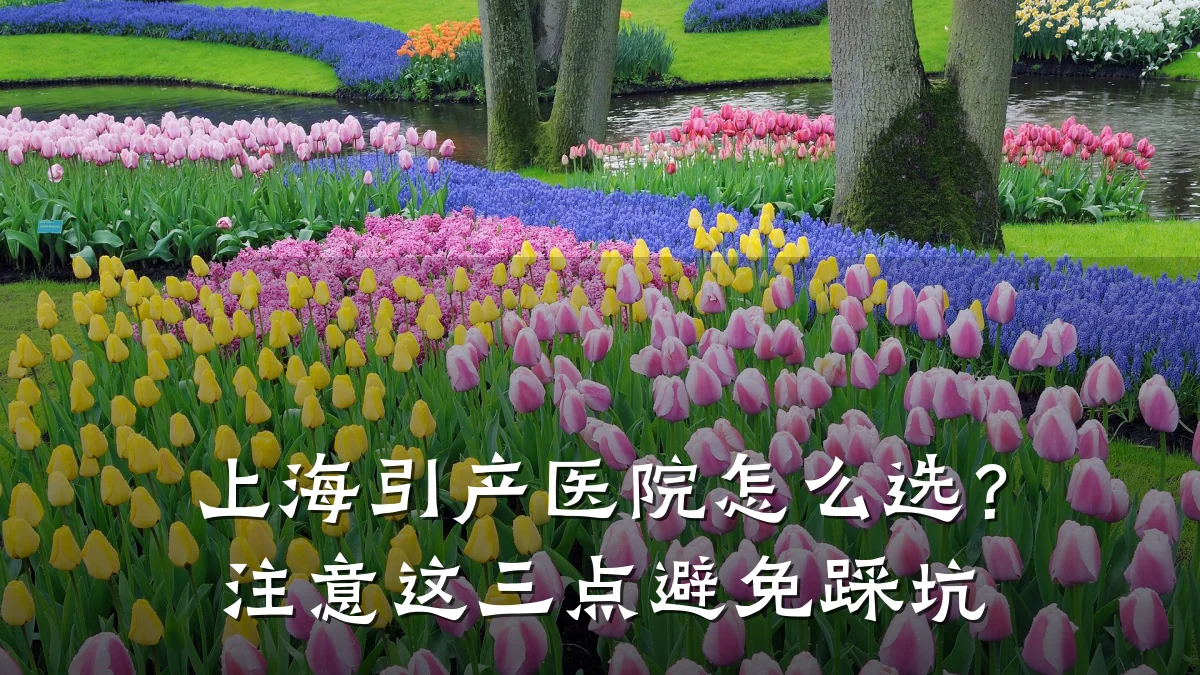 上海引产医院怎么选？注意这三点避免踩坑