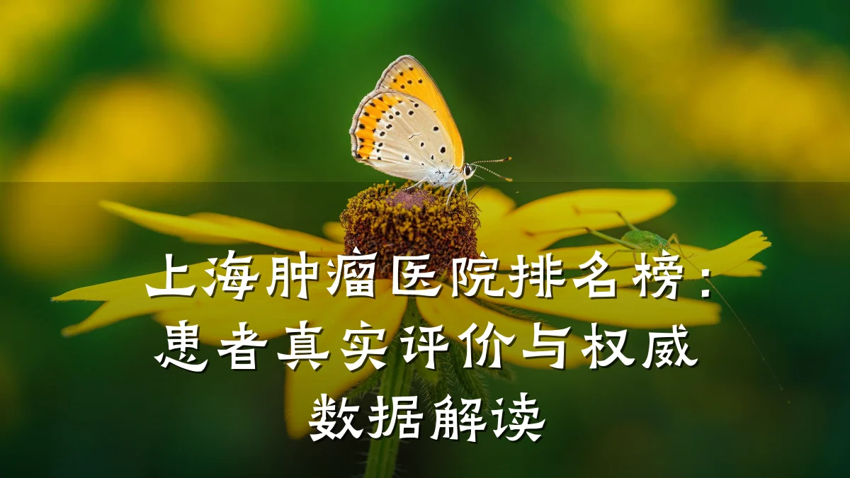 上海肿瘤医院排名榜：患者真实评价与权威数据解读