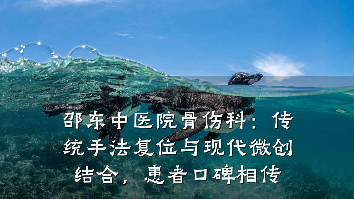 邵东中医院骨伤科：传统手法复位与现代微创结合，患者口碑相传