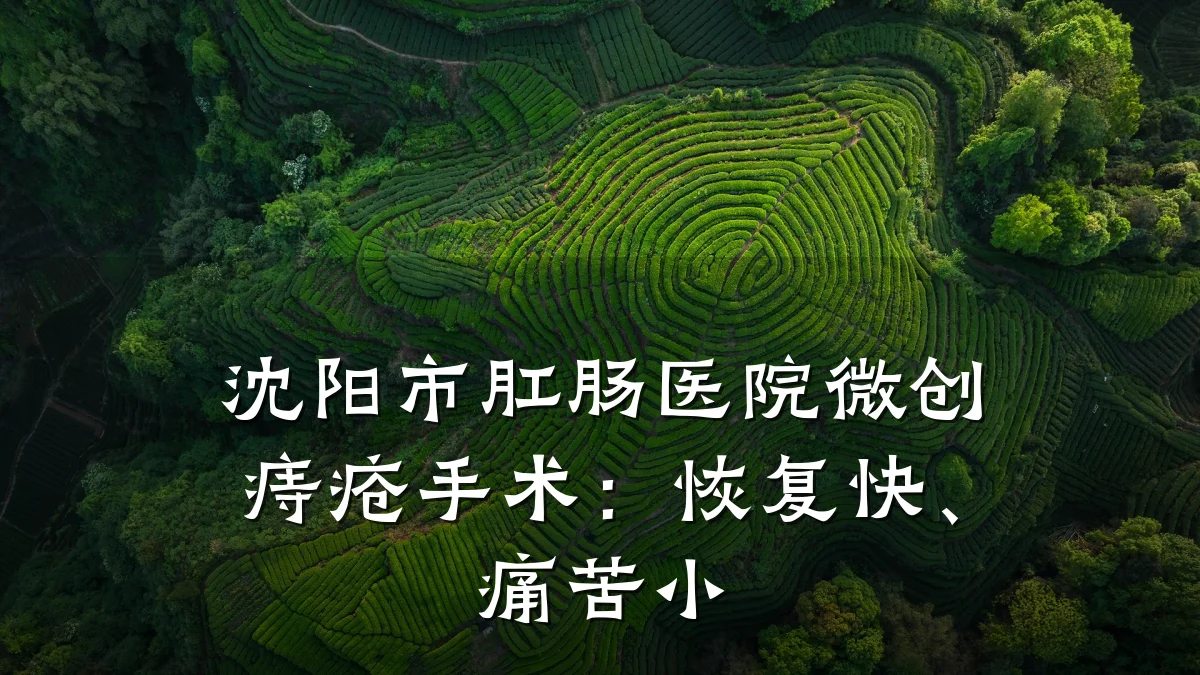 沈阳市肛肠医院微创痔疮手术：恢复快、痛苦小