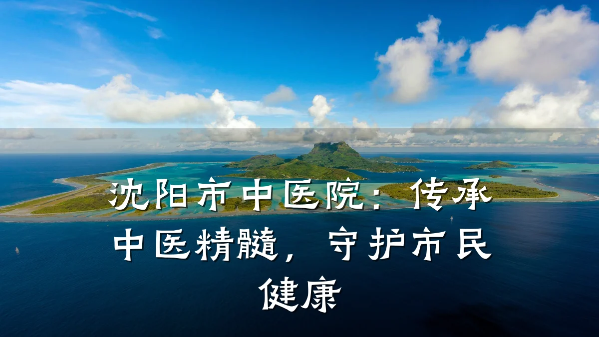 沈阳市中医院：传承中医精髓，守护市民健康