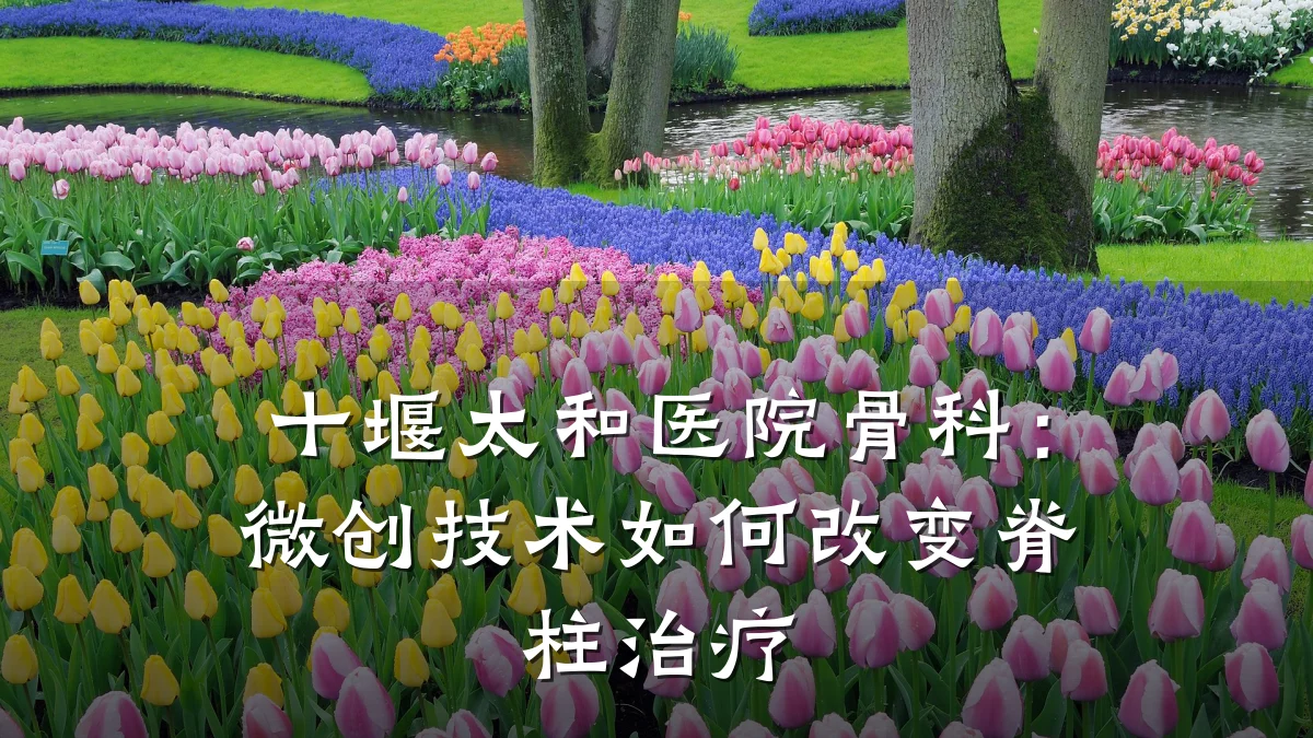 十堰太和医院骨科：微创技术如何改变脊柱治疗