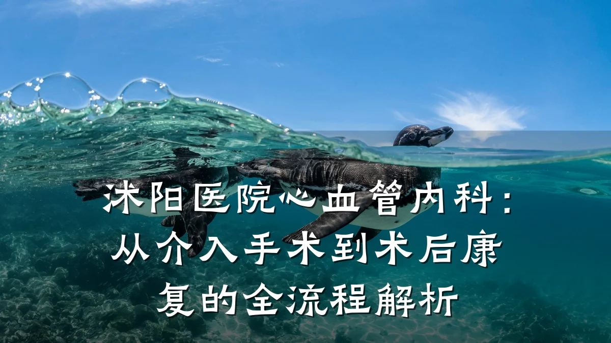 沭阳医院心血管内科:从介入手术到术后康复的全流程解析