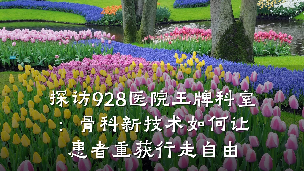 探访928医院王牌科室：骨科新技术如何让患者重获行走自由