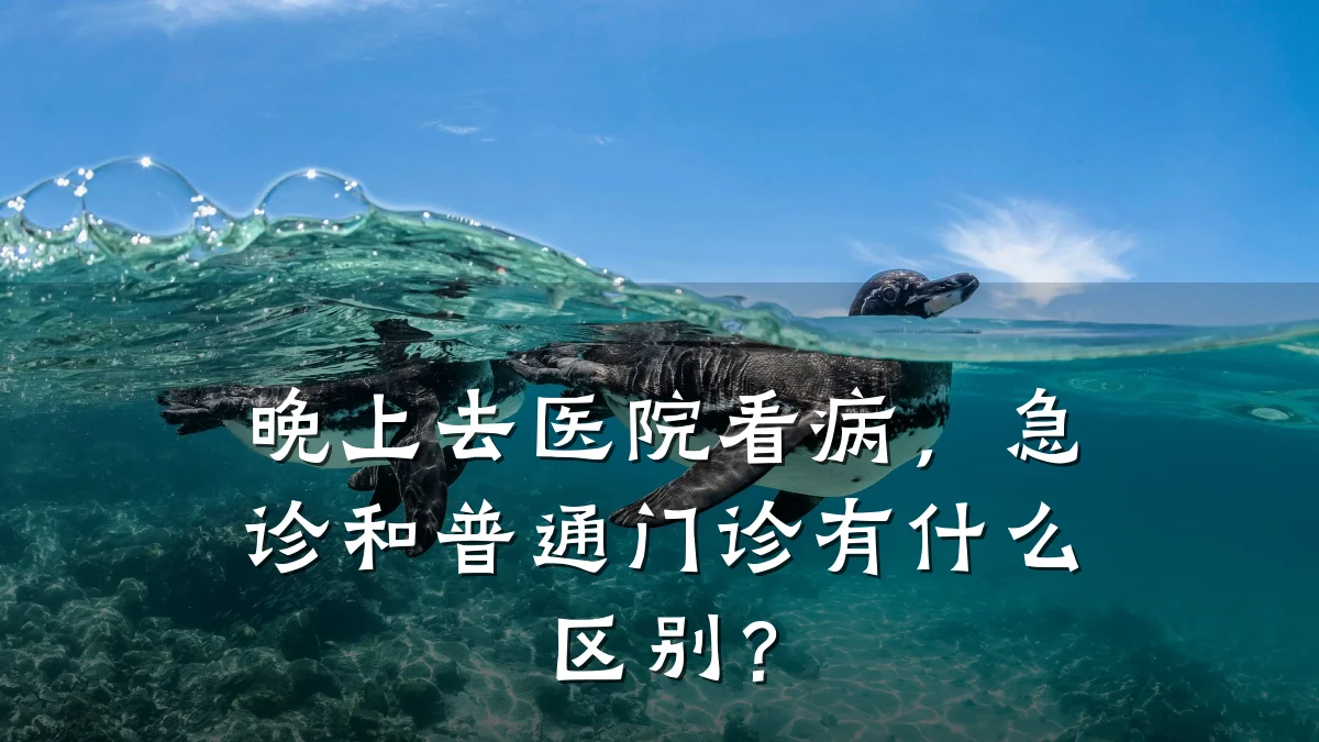 晚上去医院看病，急诊和普通门诊有什么区别？