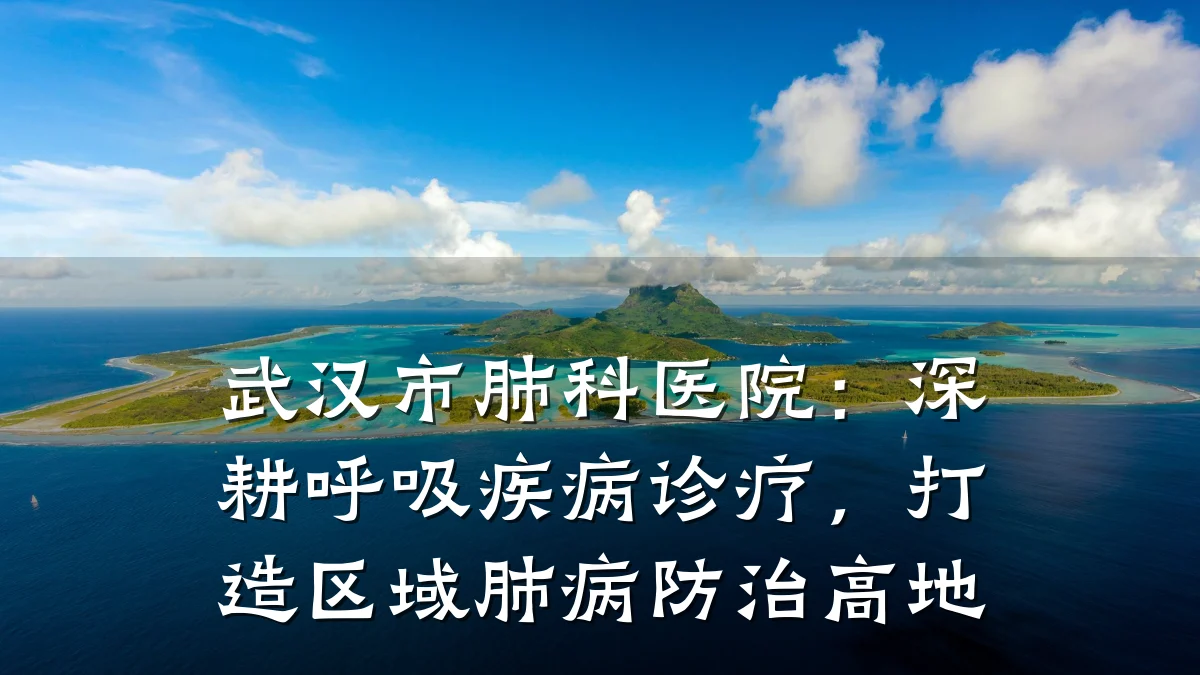 武汉市肺科医院:深耕呼吸疾病诊疗,打造区域肺病防治高地