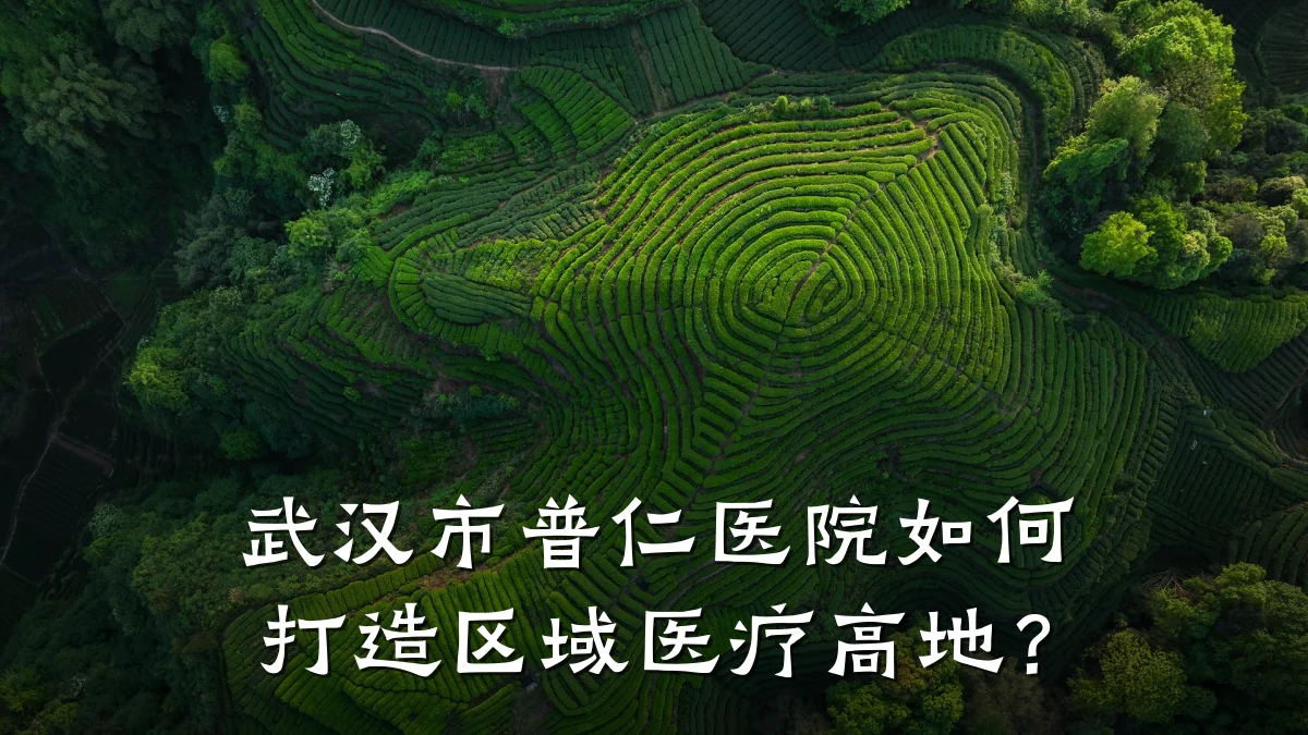 武汉市普仁医院如何打造区域医疗高地？