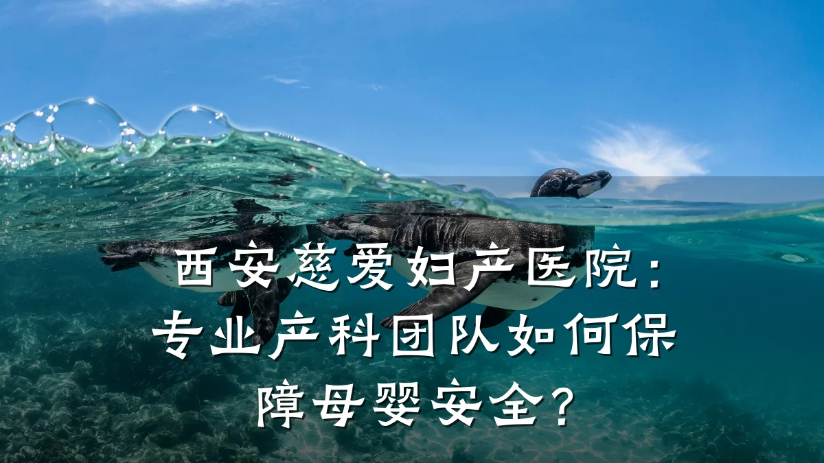 西安慈爱妇产医院：专业产科团队如何保障母婴安全？