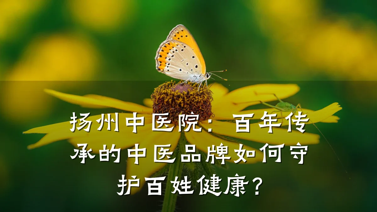 扬州中医院：百年传承的中医品牌如何守护百姓健康？