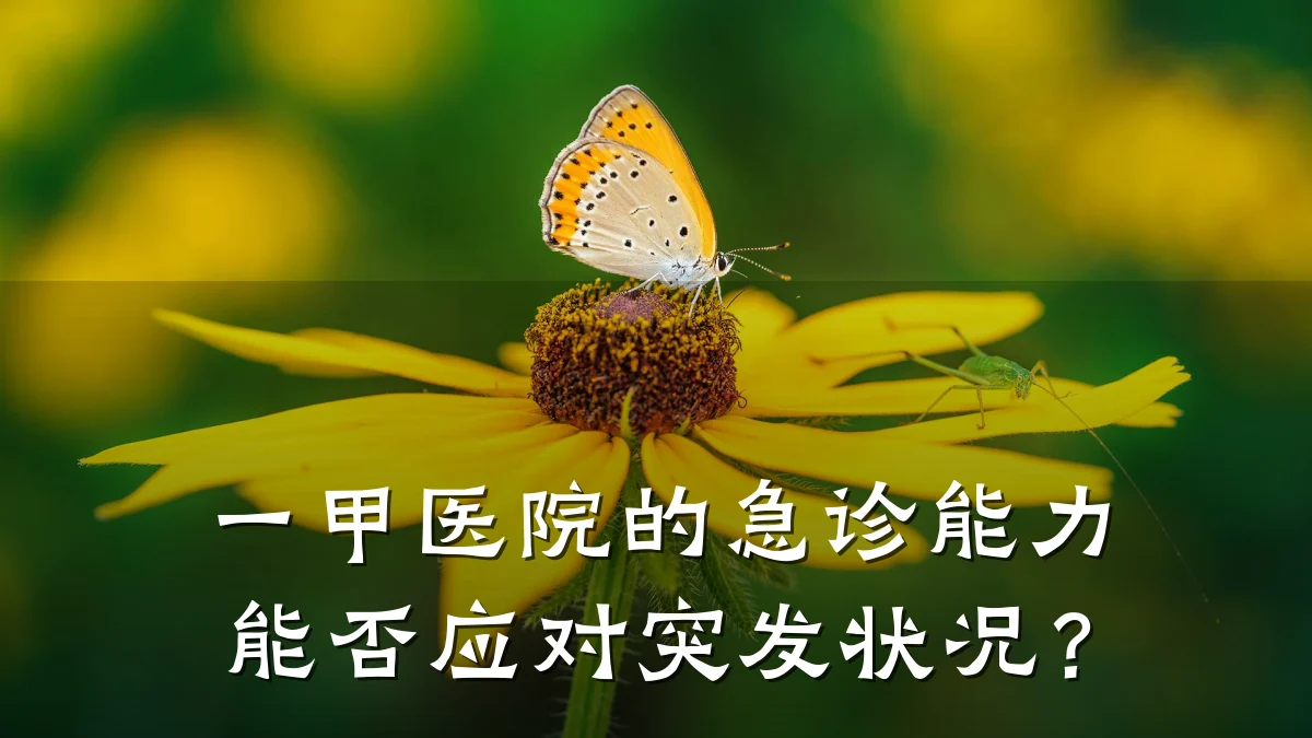 一甲医院的急诊能力能否应对突发状况?