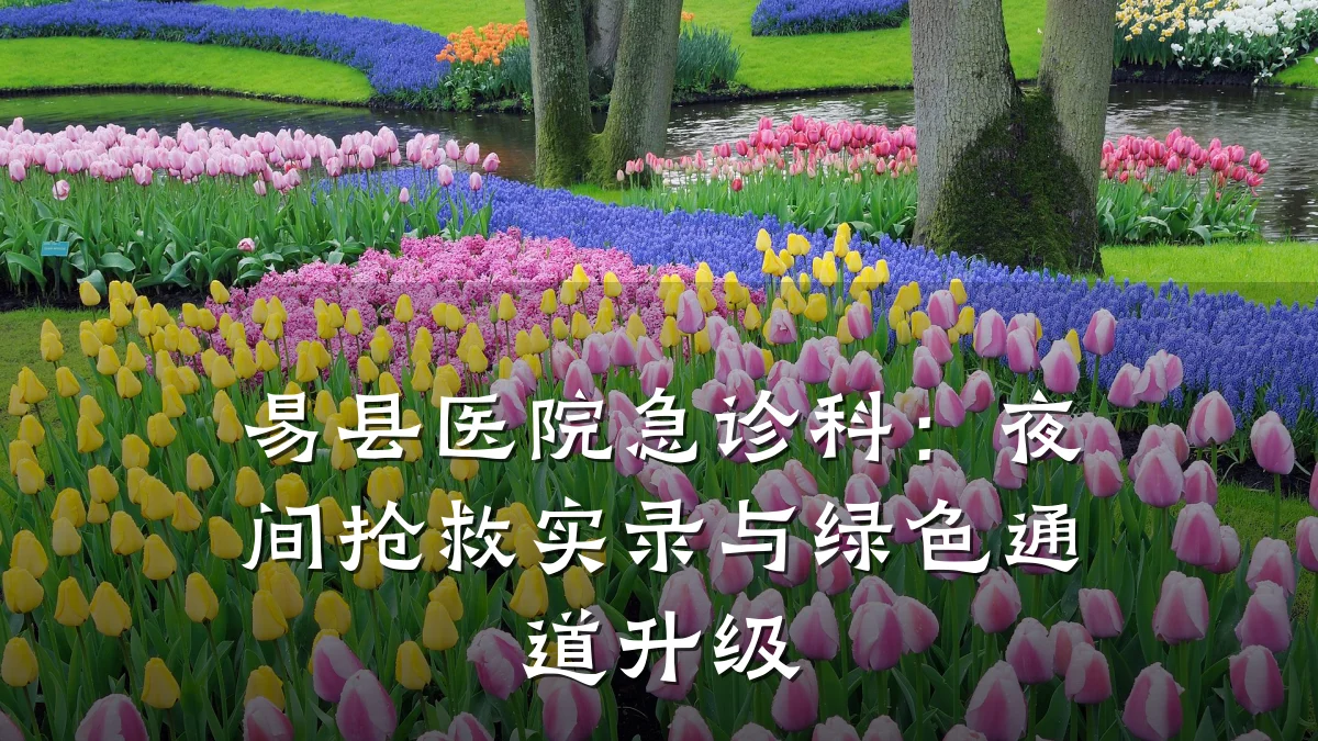 易县医院急诊科:夜间抢救实录与绿色通道升级