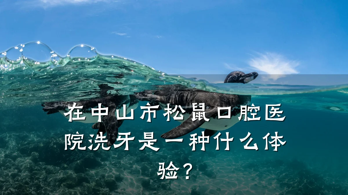 在中山市松鼠口腔医院洗牙是一种什么体验？