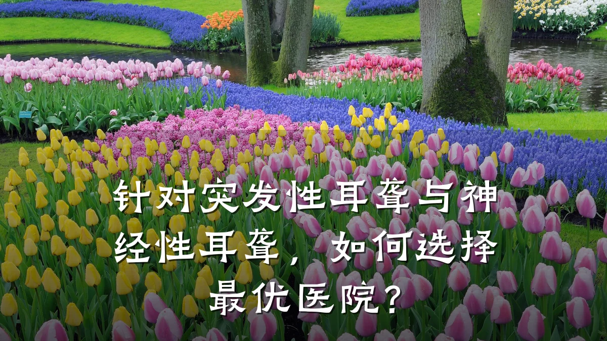 针对突发性耳聋与神经性耳聋,如何选择最优医院?