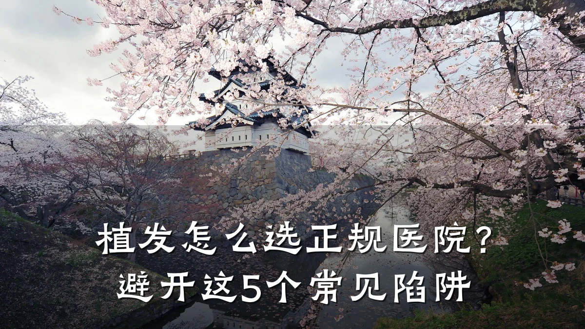 植发怎么选正规医院?避开这5个常见陷阱