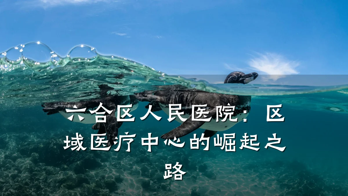 六合区人民医院：区域医疗中心的崛起之路